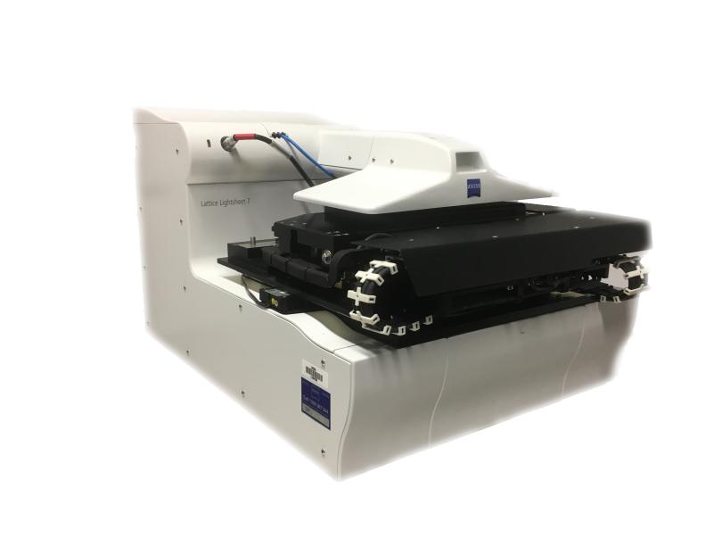 Zeiss Lattice Lightsheet 7 UNSW Mark Wainwright Analytical Centre